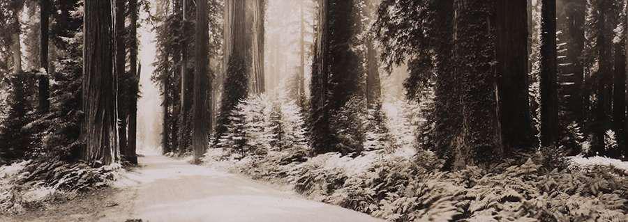 Freeman Art Co - Eureka, CA Large Panorama Photo (1 of 4)