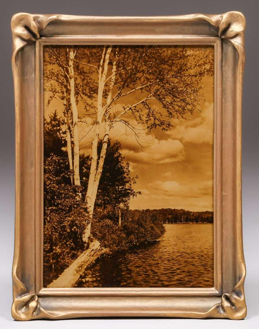 Antique Gold Tone Photo Lakeside Birch Trees c1910 (1 of 3)