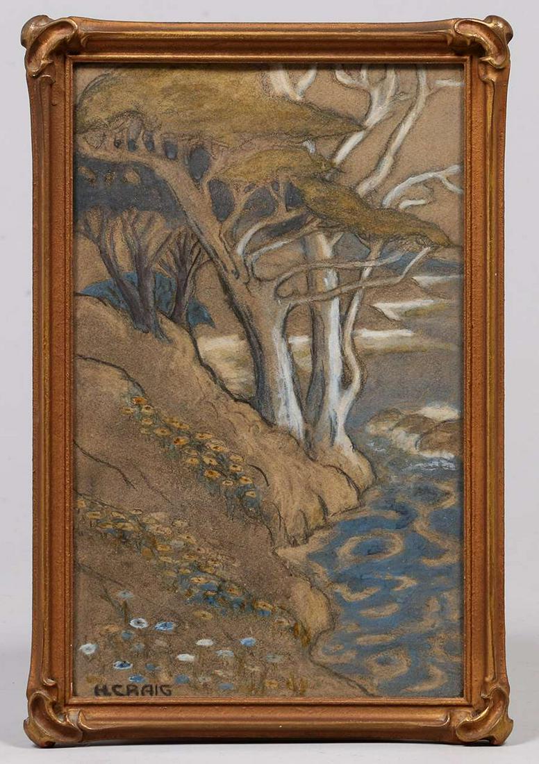 California Monterey Cypress Colored Drawing c1910 (1 of 4)