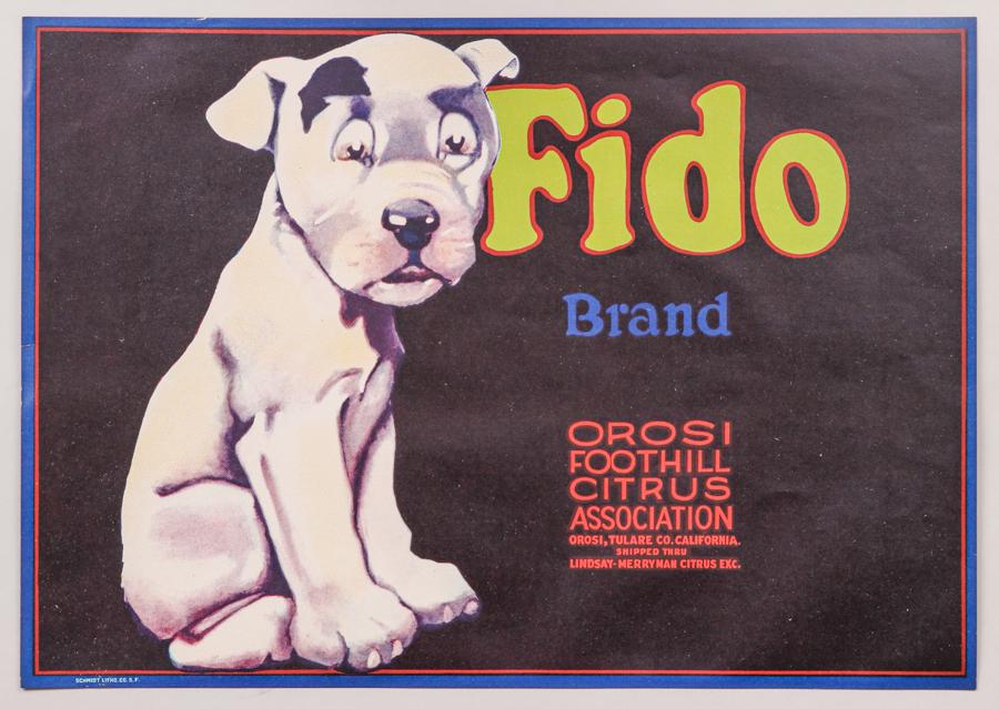 Original California Fruit Label "Fido" c1920s (1 of 1)