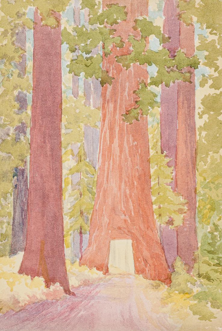 Erwin Winterhalder California Drive-Thru Redwood Tree Watercolor (1 of 3)