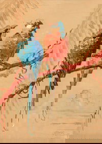 G.M. Bullock Watercolor Two Parakeets c1920s