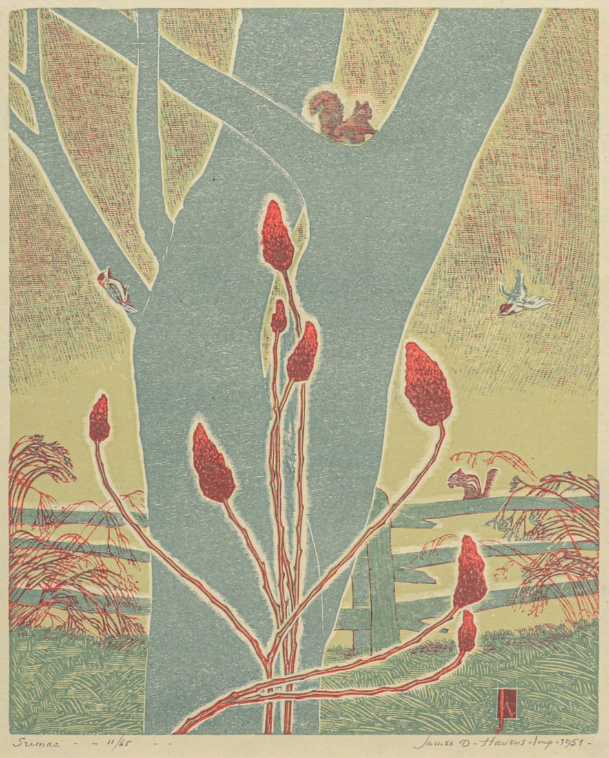 James Dexter Havens (1900-1960) Color Woodcut "Sumac" 1951 (1 of 5)