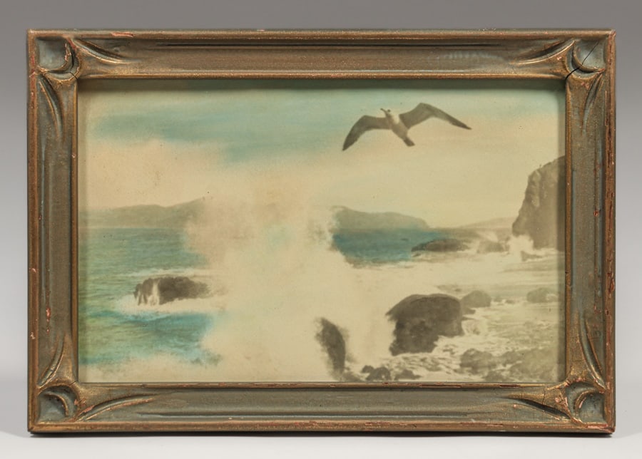 Arts & Crafts Period San Francisco Land's End Seagull Tinted Photo c1910s (1 of 3)