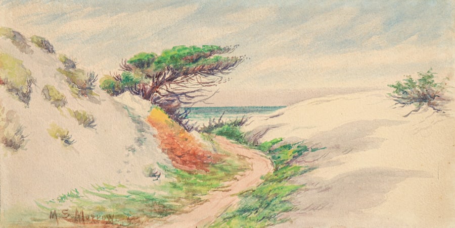 Mary S. Morrow (1854-1918) Windswept California Monterey Cypress & Sand Dunes Watercolor c1900 (1 of 5)