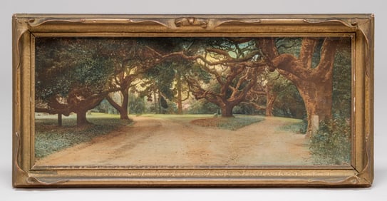 "LeConte Oaks" UC Berkeley Hand-Tinted Photo c1900-1910