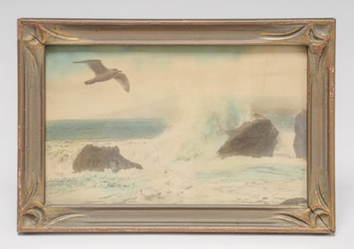 Willard Worden Tinted Photo Seagul of Seal Rock, San Francisco c1910