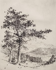 George Elbert Burr (1859-1939) Drypoint Etching "In Estes Park, Colorado" c1915