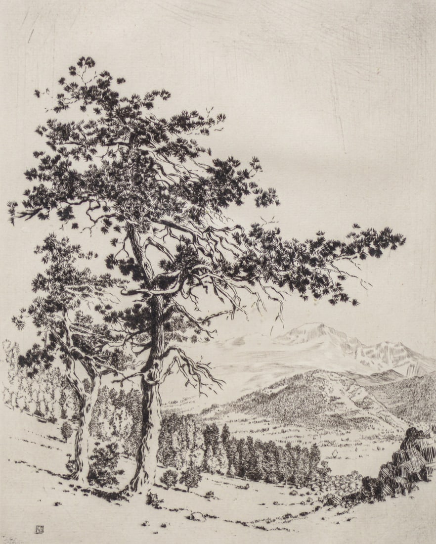 George Elbert Burr (1859-1939) Drypoint Etching "In Estes Park, Colorado" c1915 (1 of 6)