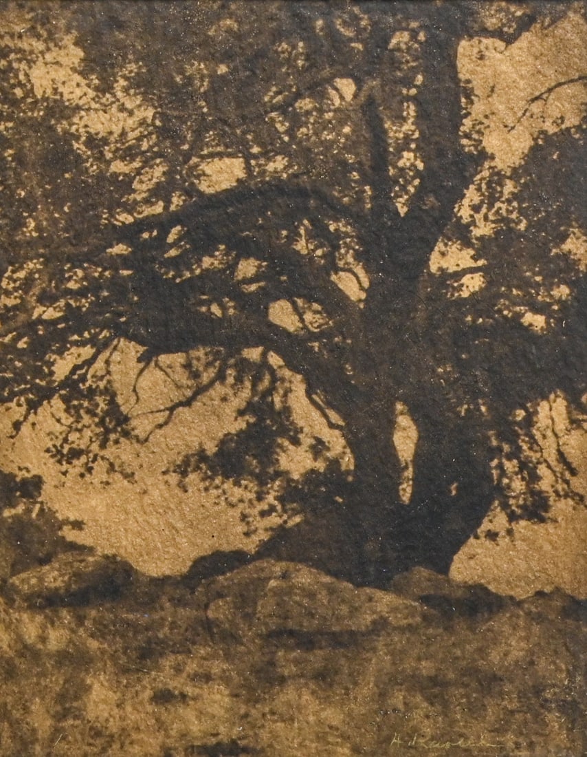 Charles Henry Ravell (1864-1930) Gum Bichromate Photo "Cypress Tree, Pebble Beach" 1910 (1 of 4)