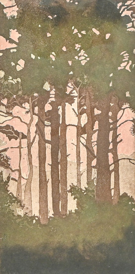 Laura Nevin (born 1956) Color Aquatint Etching c1990s: Laura Nevin (born 1956) Color Aquatint Etching c1990s. Signed. Excellent condition. 13.5"h x 7.75"w. Frame 21"h x 15"w FREE NATIONWIDE SHIPPING Free Nationwide Shipping within the lower 48 states for