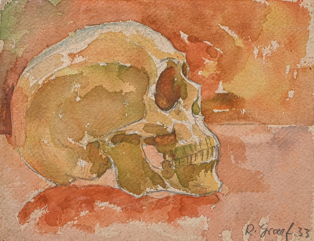 Naturalistic Anatomical Study of Human Skull 1933: Naturalistic Anatomical Study of Human Skull 1933. Signed "R Graef". Excellent condition. 8.75"h x 11.25"w. Frame 15.5"h x 18"w FREE NATIONWIDE SHIPPING Free Nationwide Shipping within the lower 48 st
