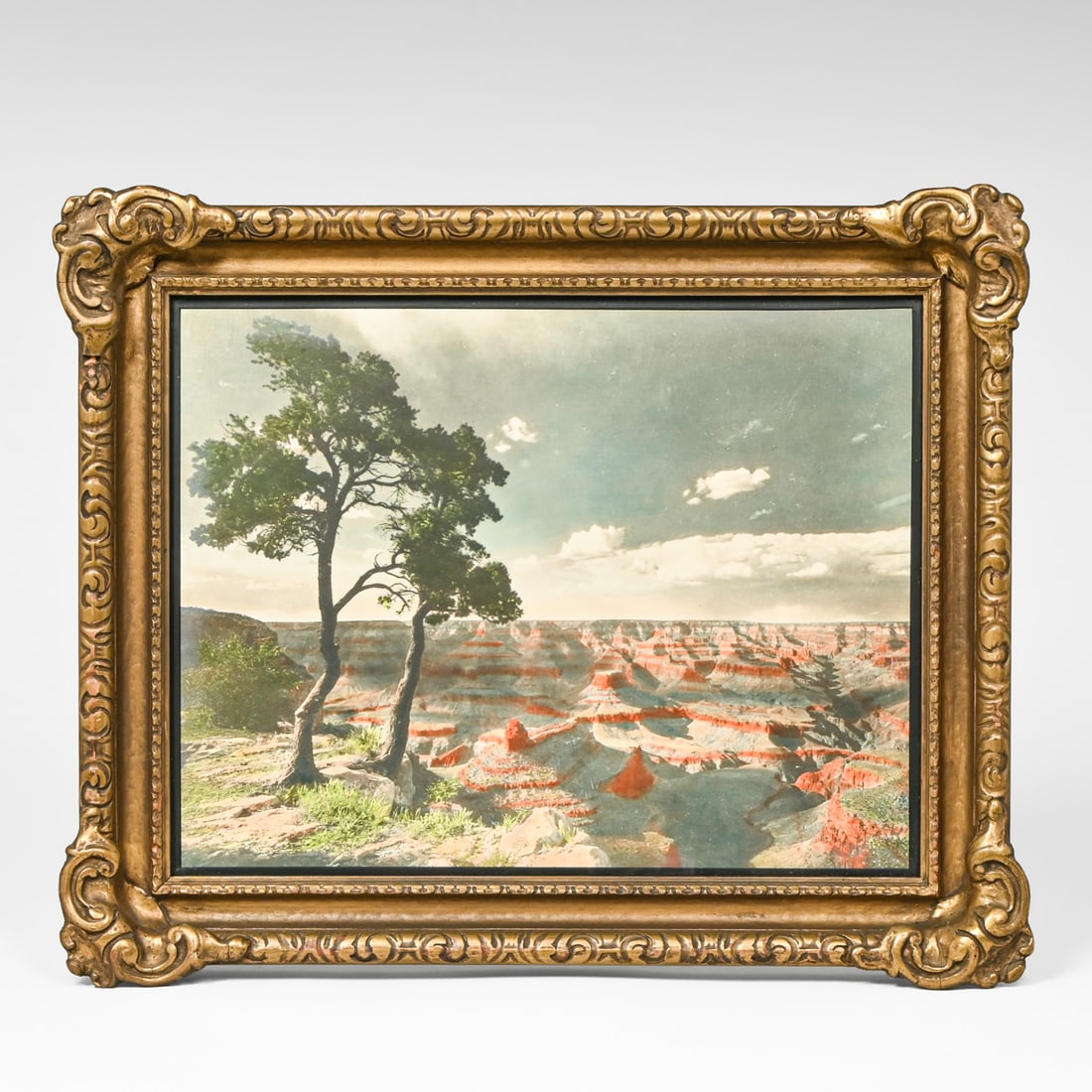 E.J. Davidson Hand-Colored Photo "Sentinels at Grand Canyon" c1920s: E.J. Davidson Hand-Colored Photo "Sentinels at Grand Canyon" c1920s. Signed. Excellent condition. 10"h x 13"w. Frame 14"h x 17"w FREE NATIONWIDE SHIPPING Free Nationwide Shipping within the lower 48 s
