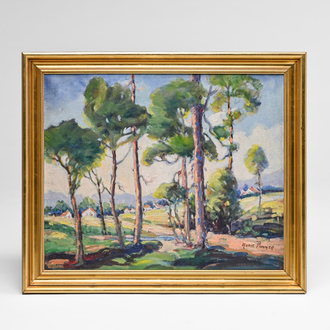 Arrie Elizabeth Plummer (Born 1884) Alabama Painting: Southern Pines & Cottages c1920s: Arrie Elizabeth Plummer (Born 1884) Alabama Painting: Southern Pines & Cottages c1920s. Signed. Excellent condition. 18"h x 22"w. Frame 21.5"h x 25.5"w FREE NATIONWIDE SHIPPING Free Nationwide