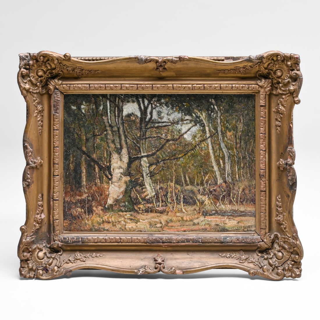 Hungarian School Tonalist Forest Landscape c1920: Hungarian School Tonalist Forest Landscape c1920. Oil painting on canvas. Unsigned. Several breaks in gesso frame. Painting in excellent condition. 12"h x 16"w. Frame 18"h x 22.25"w FREE NATIONWIDE SH