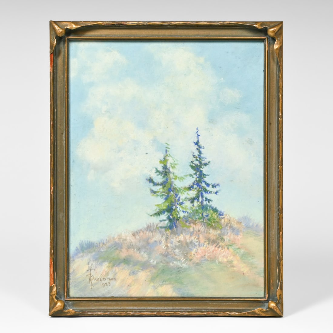 Ruth Freedman - Seattle Pastel "On the Ridge" 1923: Ruth Freedman - Seattle Pastel "On the Ridge" 1923. Signed. Excellent condition. Seattle Fine Arts Society Exhibition label on back. 12.5"h x 9.5"w. Frame 14.25"h x 11.25"w FREE NATIONWIDE SHIPPING Fr