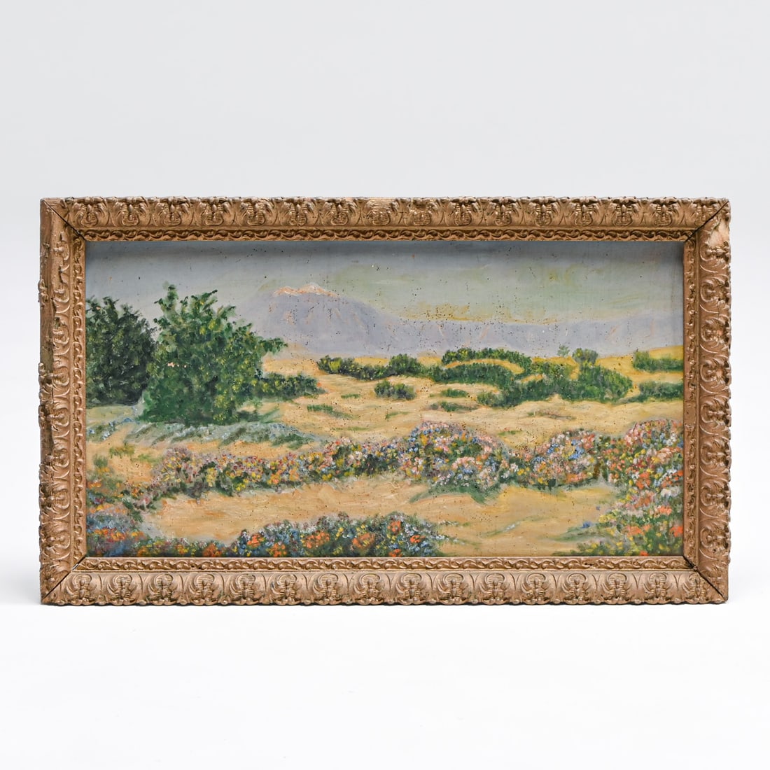 California Mt San Jacinto California Desert Super Bloom Painting c1920s: California Mt San Jacinto California Desert Super Bloom Painting c1920s. Unsigned. Chips to frame. Needs cleaning. 9"h x 16"w. Frame 10"h x 17"w FREE NATIONWIDE SHIPPING Free Nationwide Shipping withi