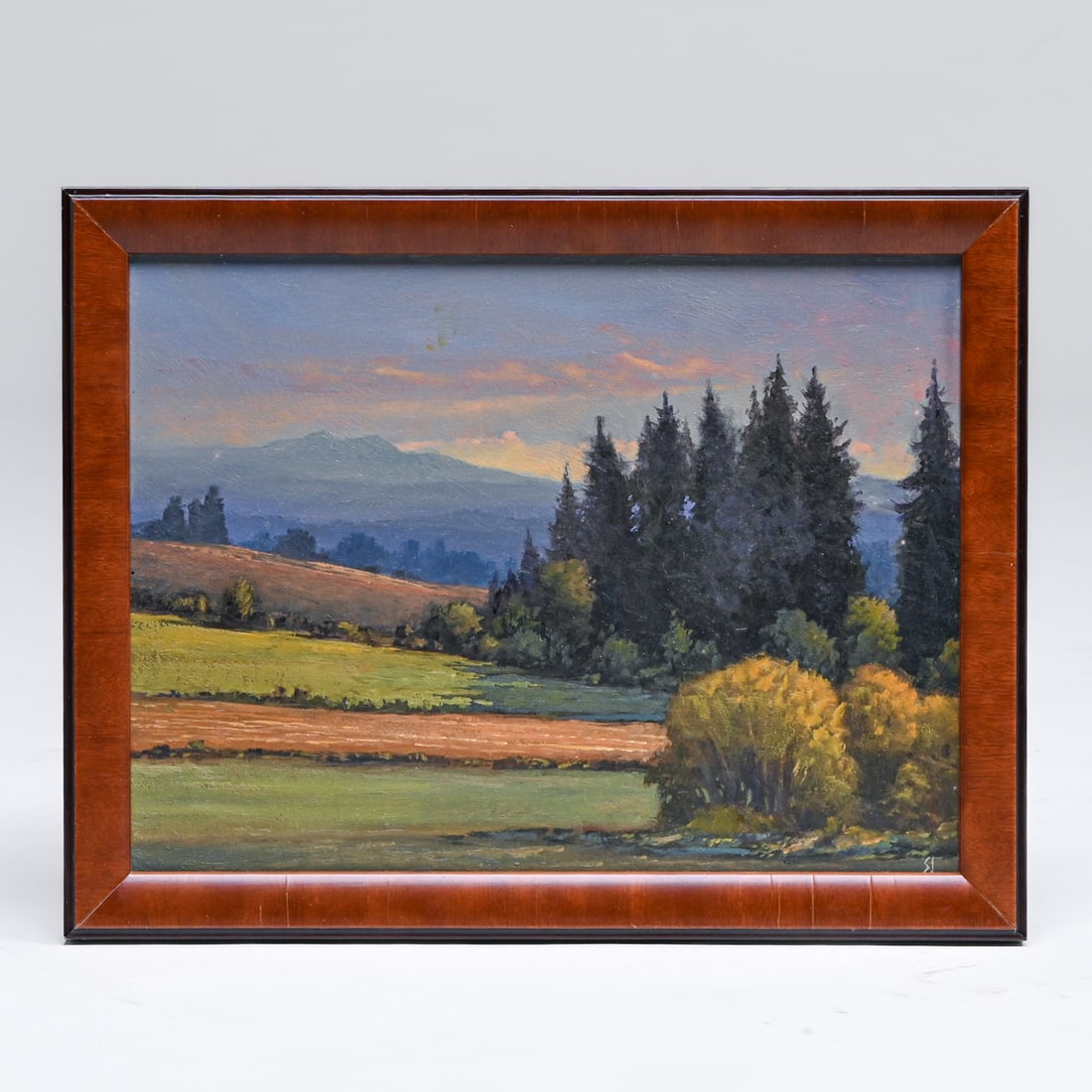Pocono Mountains Tonalist Painting c1990s: Pocono Mountains Tonalist Painting c1990s. Signed "SJ". Excellent condition. 9"h x 12"w. Frame 10.5"h x 13.5"w FREE NATIONWIDE SHIPPING Free Nationwide Shipping within the lower 48 states for all purc