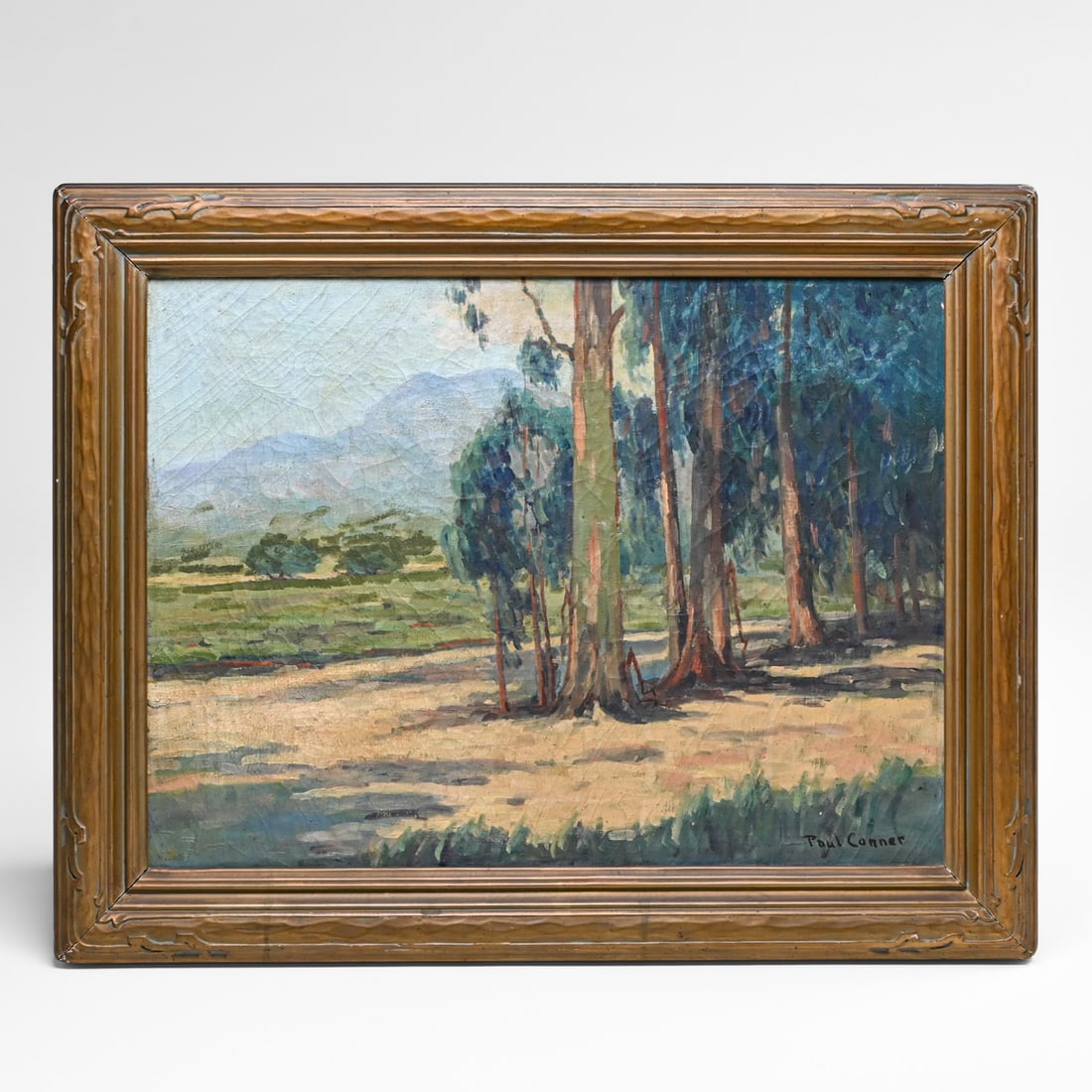 Paul Conner (1881-1968) Southern California Eucalyptus Grove Painting c1920s (1 of 5)