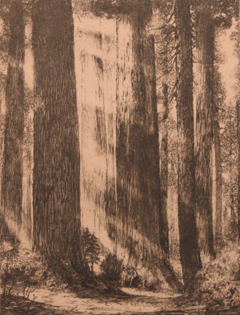 L.P. Harting Engraving "Redwoods": L.P. Harting engraving "Redwoods". 6.5"h x 4 7/8"w. Original frame 10.5"h x 8"w.