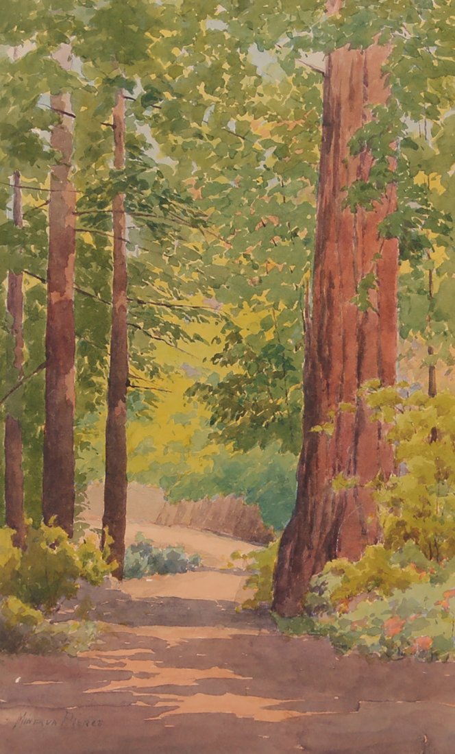 Minerva Pierce Watercolor of CA Redwood Trees (1 of 3)