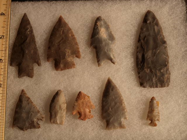 Central Texas 9 points Stermer: Central Texas 9 points along with San Jacintos, Pedernales and others all Edwards Plateau chert. Late Archaic period . Estate of John Koehler personally field collected by Mr. Koehler in 1940's - 1950