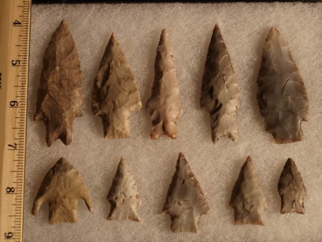Central Texas 10 points Stermer: Central Texas 10 points along with San Jacintos, Pedernales and others all Edwards Plateau chert. Late Archaic period . Estate of John Koehler personally field collected by Mr. Koehler in 1940's - 195