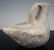 Very rare Anasazi Chapin duck effigy - 2