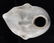 Very rare Anasazi Chapin duck effigy - 3