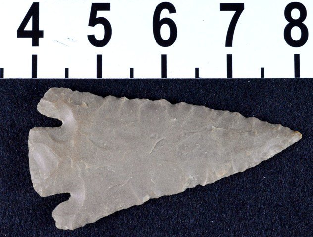 Papered Castroville Texas, Edwards chert point, COA: Type: Castroville Material: Edwards Plateau Chert Length: 4 3/16 inches