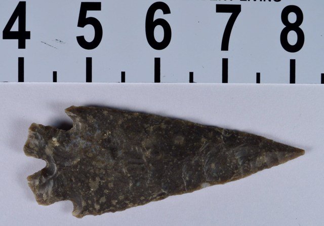 Papered Pedernales Texas, Edwards chert point, COA: Type: Montell Material: Edwards Plateau Chert Length: 4 1/8 inches