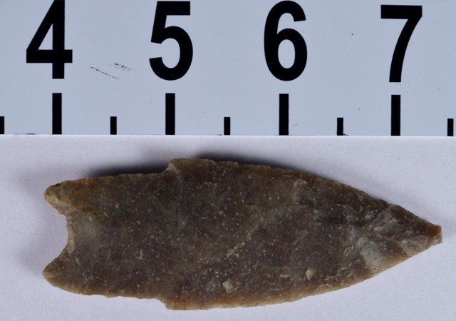 Papered Pedernales (early variety) Texas, point, COA: Type: Pedernales Material: Edwards Plateau Chert Length: 3 1/2 inches