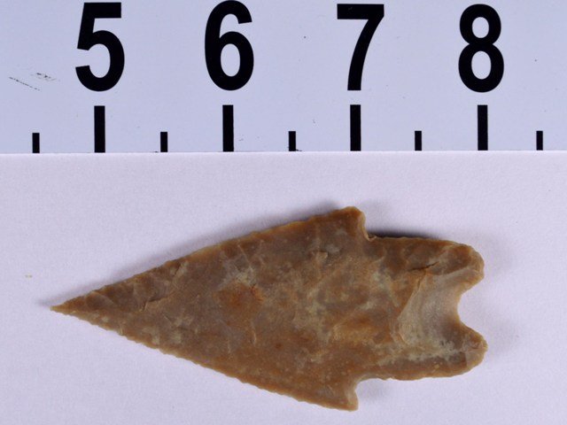 Papered Pedernales (early variety) Texas, point, COA: Type: Pedernales Material: Edwards Plateau Chert Length: 3 7/16 inches