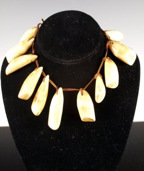 String of Eleven Pristine Bull Elk Teeth: Eleven elk teeth, drilled and strung. Great coloration, extremely tactile and substantial. Bkgd.: Elk teeth were prized by American Indian Plains tribes as symbolic of long life, sexual prowess, and s