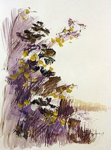 Original Water Color on Paper By Michael Schofield: This is a Michael Schofield hand signed Water Color made on arches quality paper . Artist Michael Schofield was born in Orlando, Florida in 1947. In that same year (1947), his family moved to Oakland,