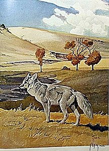 LITHOGRAPH "THE COYOTE" BY ARTIST FRANCIS LEE JAQUES: LITHOGRAPH IN THE MANNER OF FRANCIS LEE JAQUES BEARING THE SIGNATURE, TITLED "THE COYOTE" COMES WITH CERTIFICATE OF AUTHENTICITY, FRAMING AVAILABLE AT AN ADDITIONAL COST.