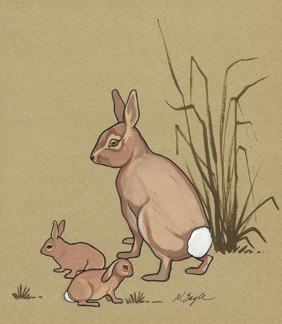 Eagle, Wayne, American Indian (1 of 2)