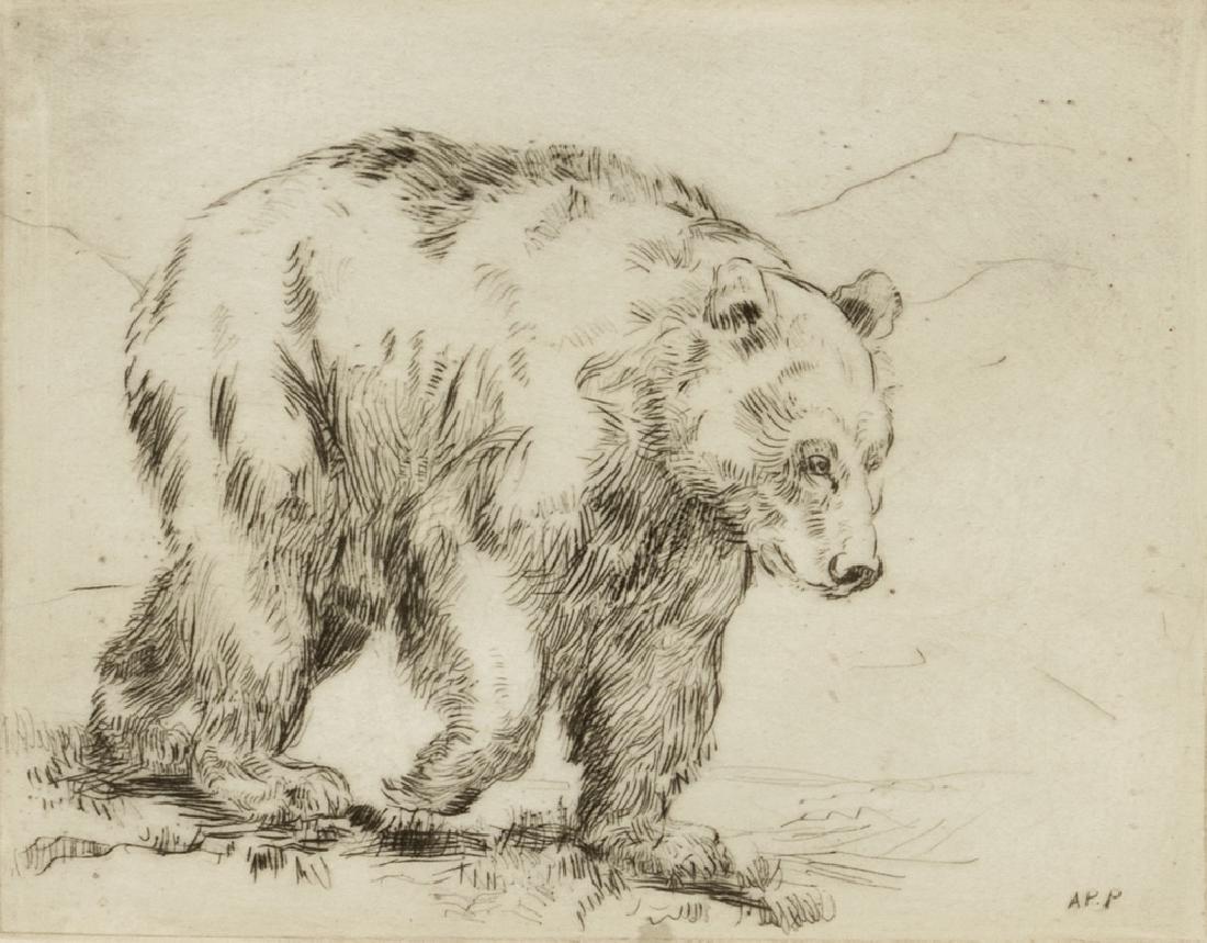 Alexander Phimister Proctor, Untitled (Bear). (1 of 2)