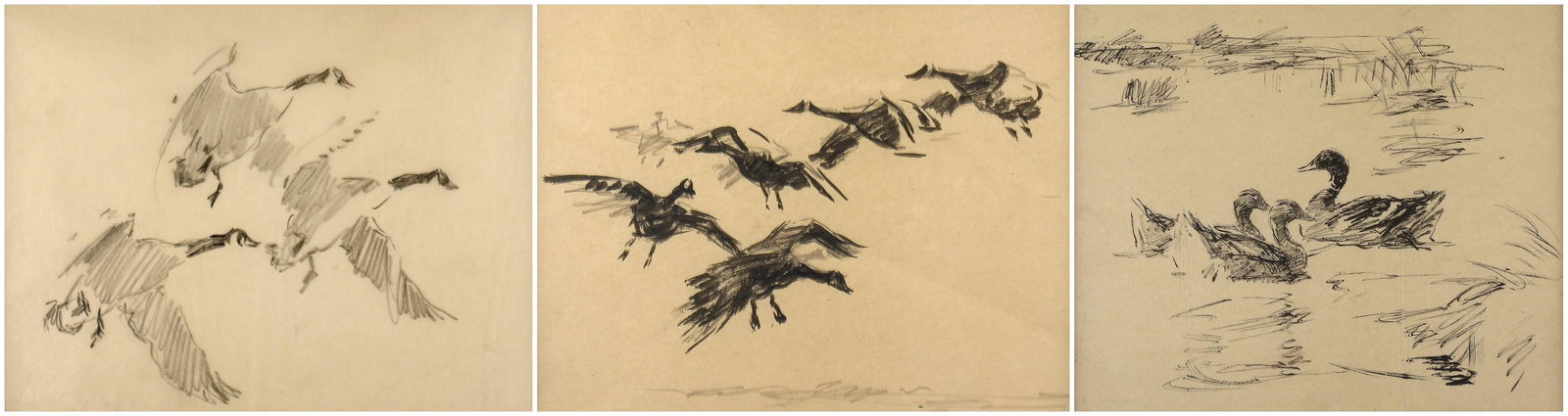 Frank Hoffman, Three Drawings of Birds: Frank Hoffman (1888 - 1958) Three Drawings of Birds Untitled (Three Canadian Geese) graphite on paper Dimensions: 7 x 9 in (sight) Matted Dimensions: 12 1/2 x 14 1/2 in Untitled (Flock of Canadian Gee