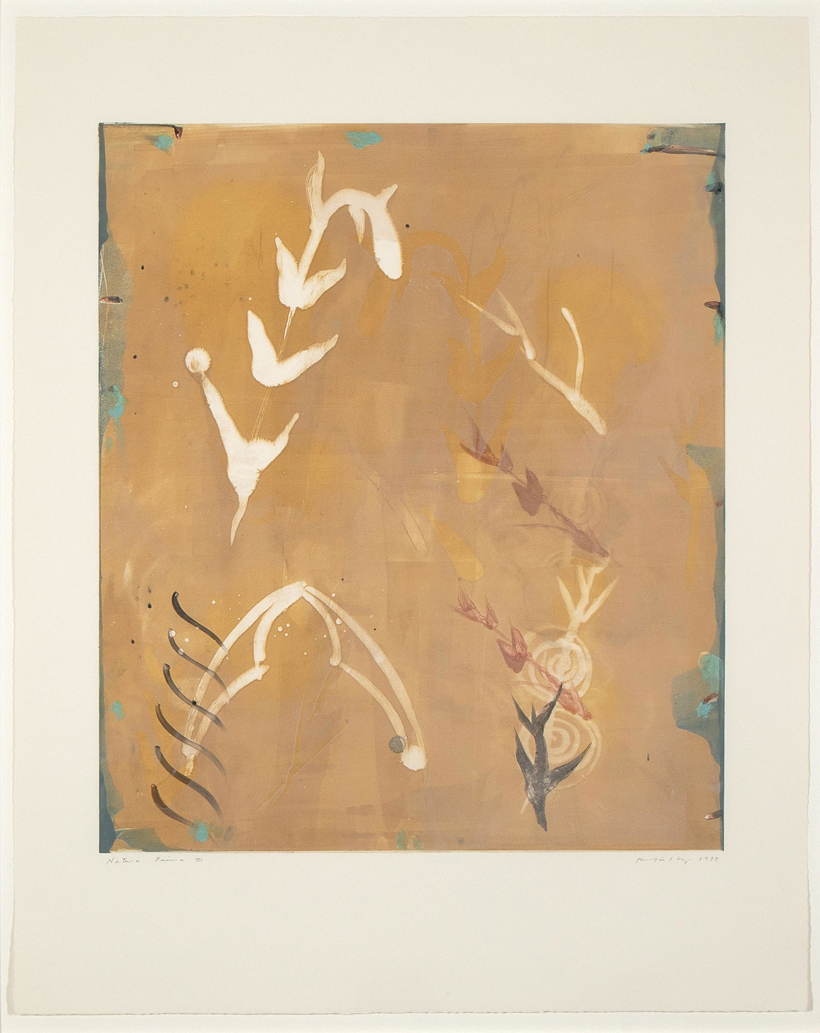 Robert Kelly, Natura Prima III, 1988: Robert Kelly(b. 1956)Natura Prima III, 1988monotypesigned and dated lower right: Robert Kelly 1988titled lower left: Natura Prima lll27 1/2 x 23 1/2 in. (69.85 x 59.69 cm.), Frame: 40 3/4 x 33 x 2 in.