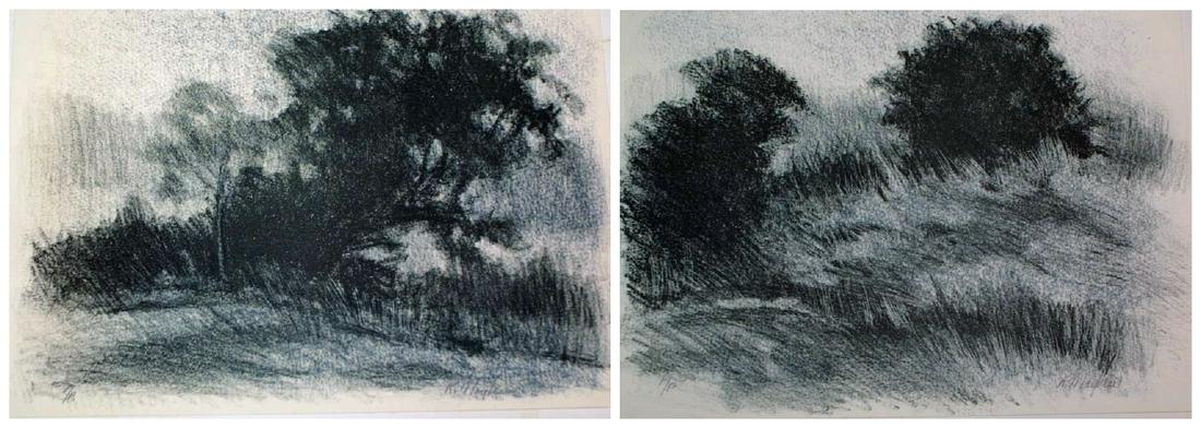 Richard Mayhew, Two Black and White Lithographs (1 of 3)