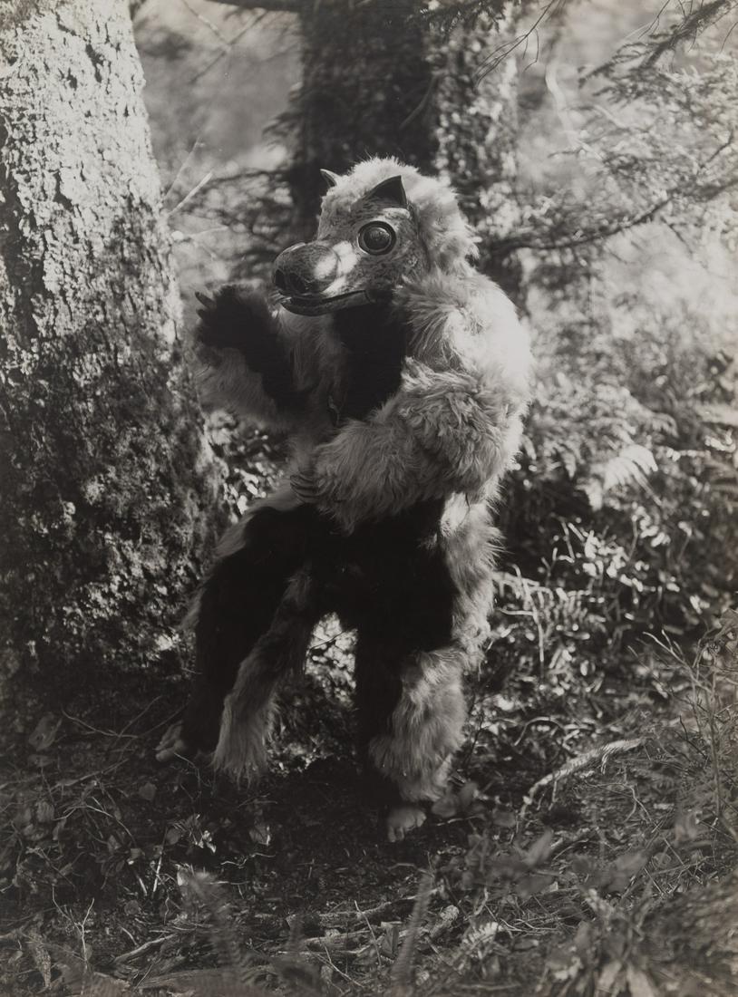 Edward Curtis, Untitled (Variant of The Bear Costume - (1 of 3)