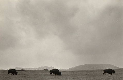 Bernard Plossu, Buffalos (Oklahoma), 1983: Bernard Plossu(French, b. 1945)Buffalos (Oklahoma), 1983gelatin silver printinscribed verso: B Plossu Buffalos 1983 Oklahoma5 1/2 x 8 1/4 in. (13.97 x 20.96 cm.), Sheet: 7 7/8 x 9 7/8 in. (20 x 25.08