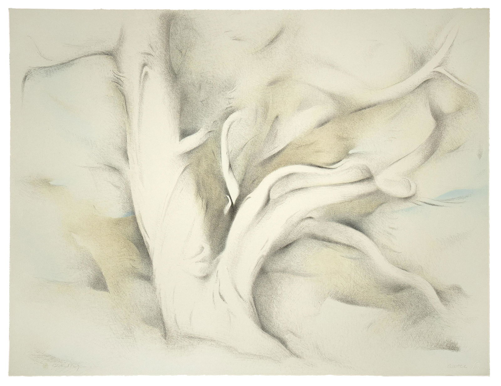 Earl Stroh, Cedar, 1978 (1 of 1)