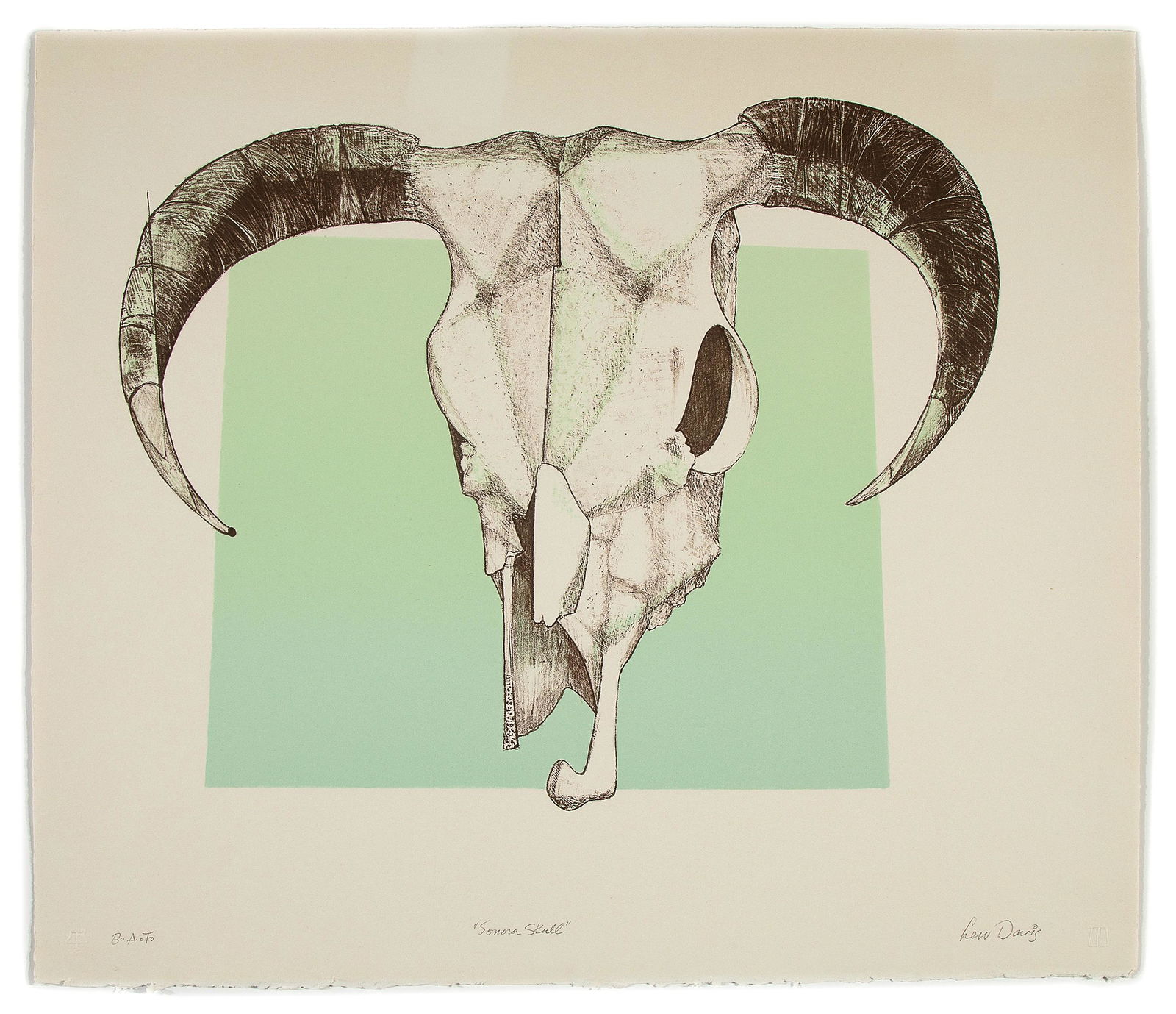 Lew Davis, Sonora Skull, 1977 (1 of 1)