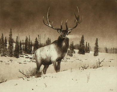 Michael Coleman, Rocky Mountain Elk: Michael Coleman(b. 1946)Rocky Mountain Elketching, edition 25 of 95initialed in plate lower right: M.C.signed lower right: Michael Colemaneditioned lower left: 25/9511 5/8 x 14 3/4 in. (29.53 x