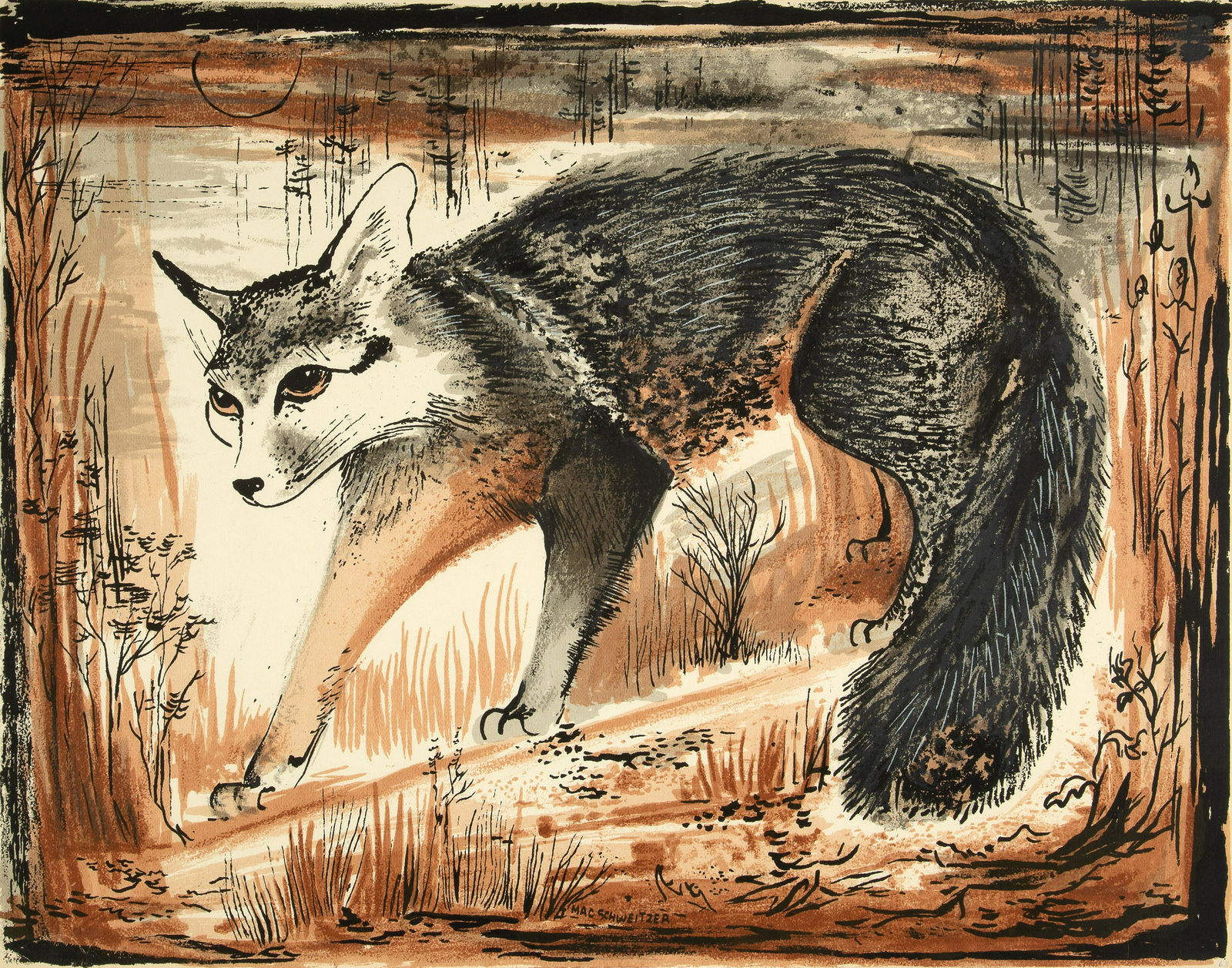 Mac [Mary Alice Cox] Schweitzer, Untitled (Fox) (1 of 2)