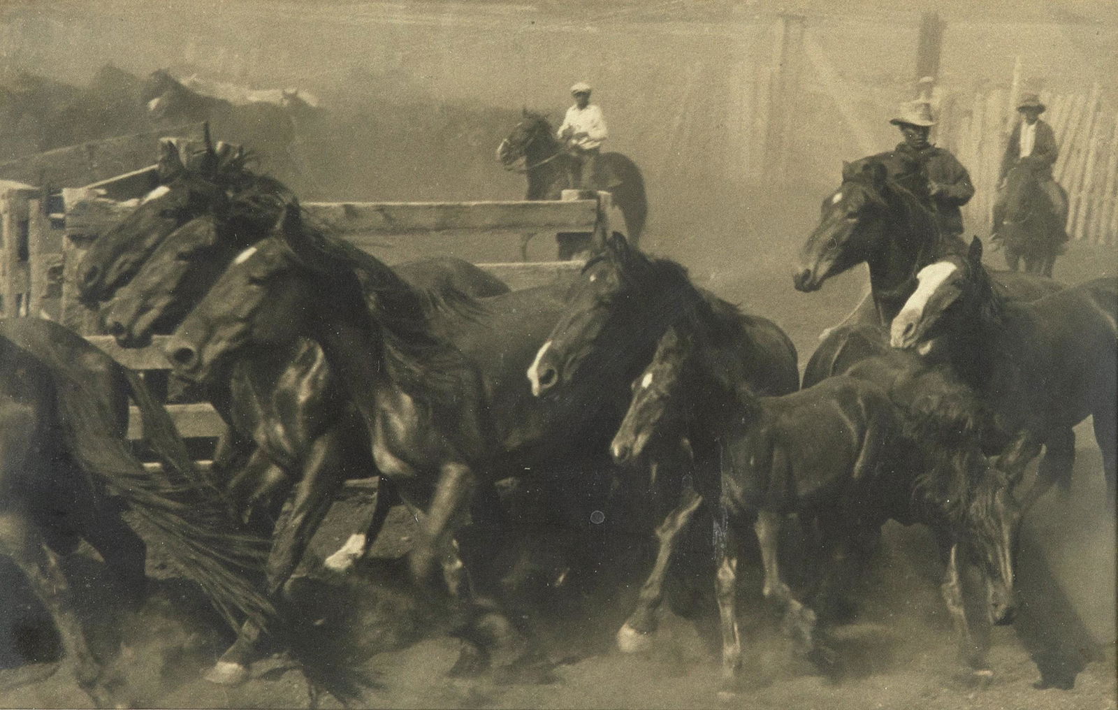 Unknown, Black Cowboys Driving Horses, ca. 1934 (1 of 2)