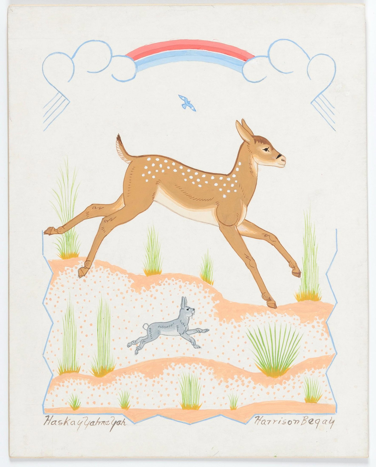 Harrison Begay [Haskay Yahne Yah], Happy and Racing Youngsters, Spotted Fawn One and Cottontail: Harrison Begay [Haskay Yahne Yah] (Dine [Navajo], 1917 - 2012) Happy and Racing Youngsters, Spotted Fawn One and Cottontail Rabbit gouache on paper signed lower right: Harrison Begay signed lower left