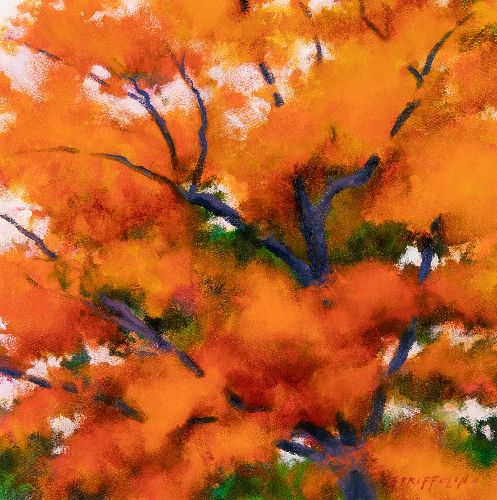 Robert Striffolino, Orange Tree Study, 1997 (1 of 3)